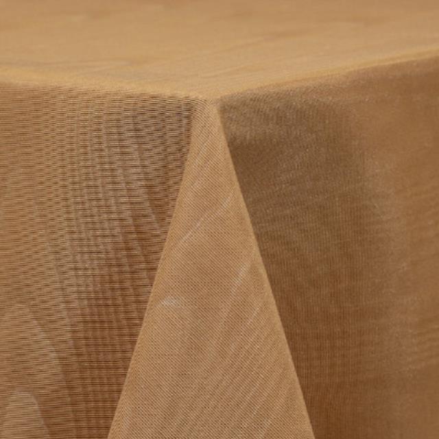 Rental store for napkin bengaline camel in the San Jose metro area