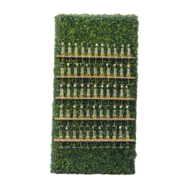 Rental store for shv champagne wall in the San Jose metro area